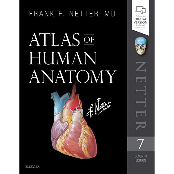 human anatomy atlas for windows desktop coupon